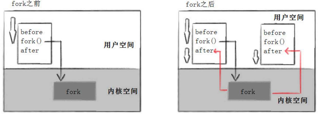 进程fork前后程序逻辑